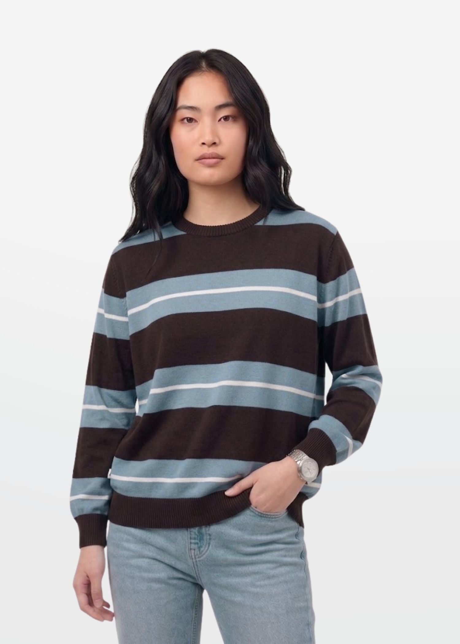 Brown Blue Stripe Full Sleeve Knit T-Shirt