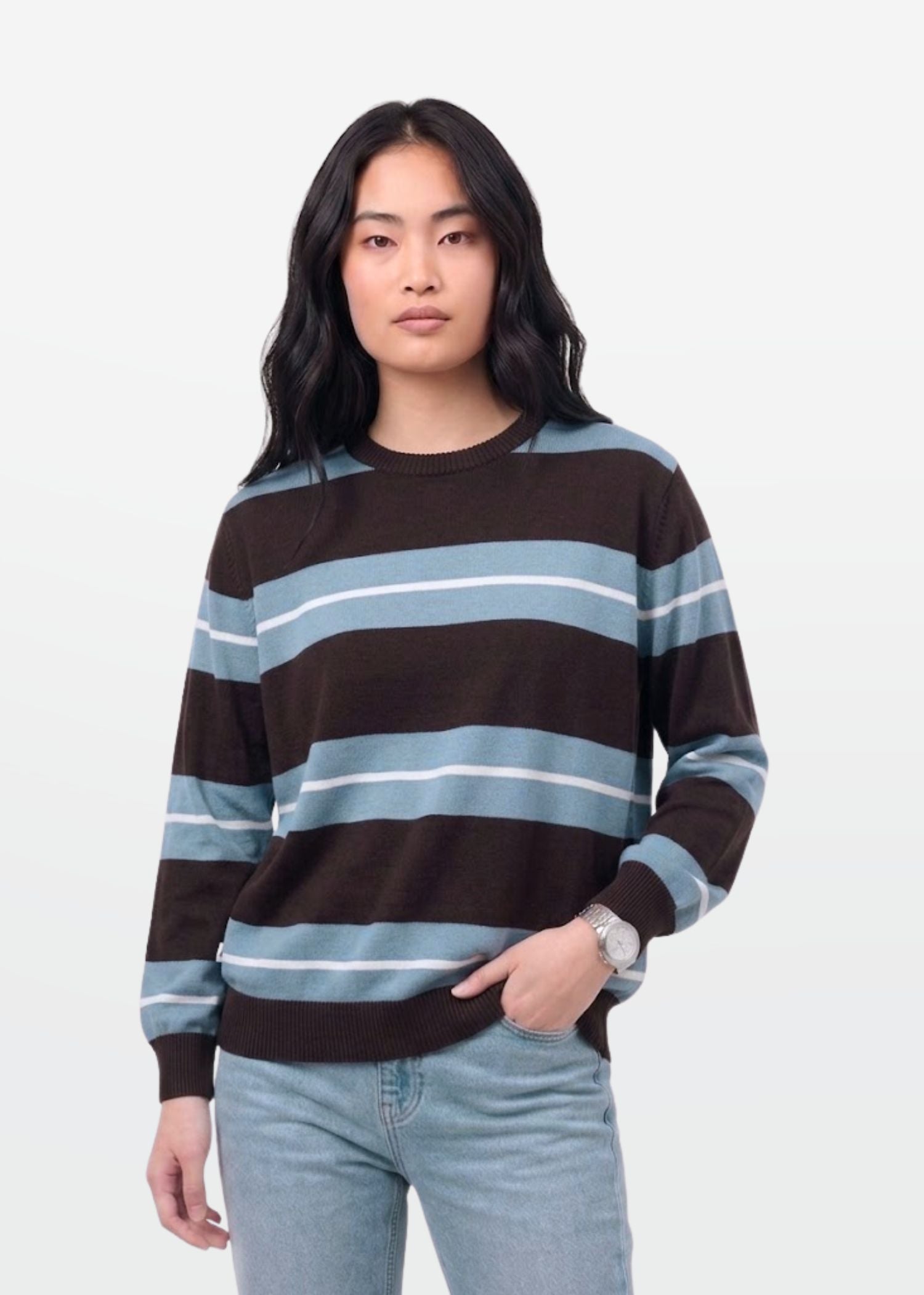 Brown Blue Stripe Full Sleeve Knit T-Shirt