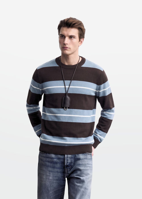 Brown Blue Stripe Full Sleeve Knit T-Shirt — Men's Knitwear India | Eagle Ray