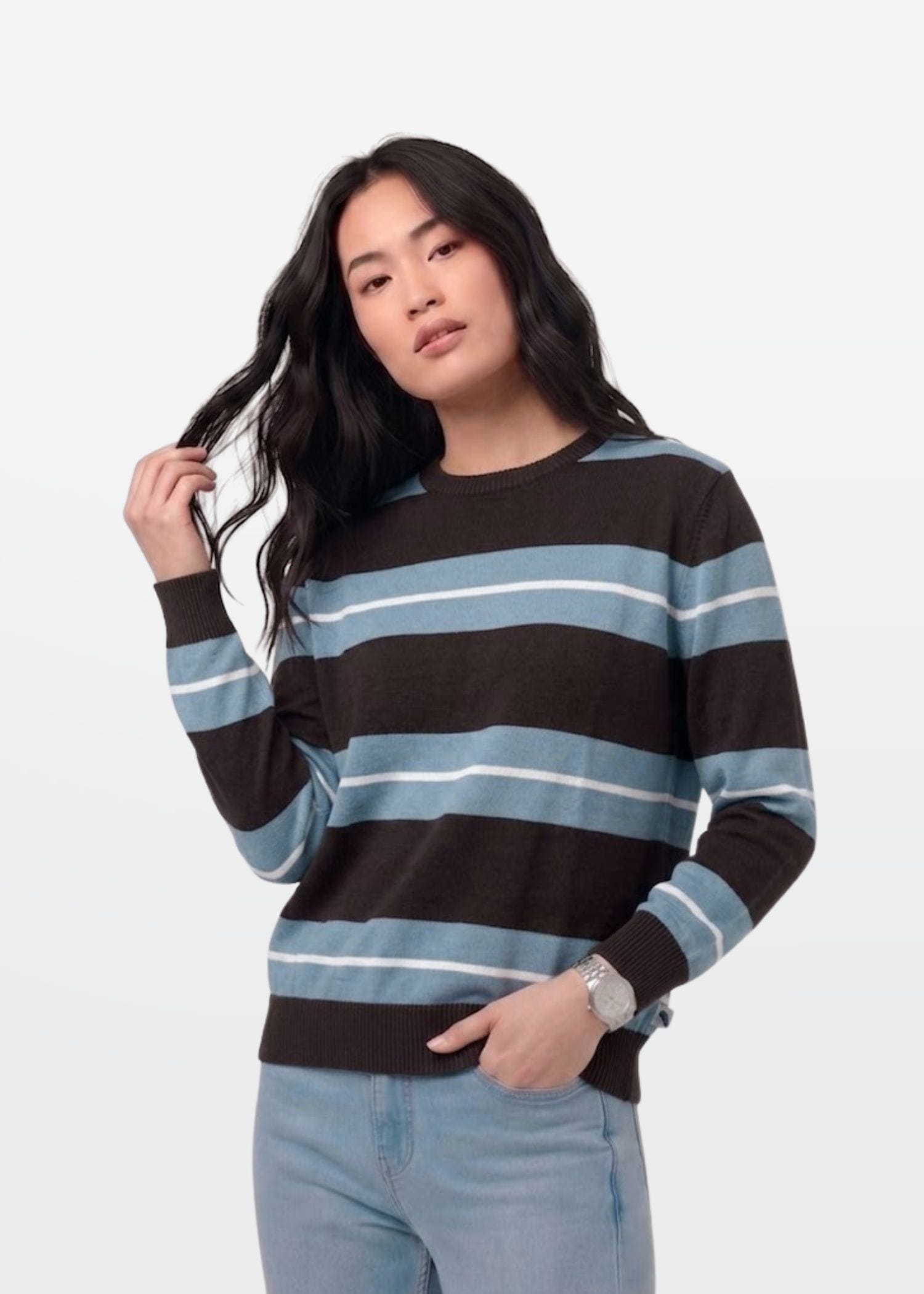 Brown Blue Stripe Full Sleeve Knit T-Shirt
