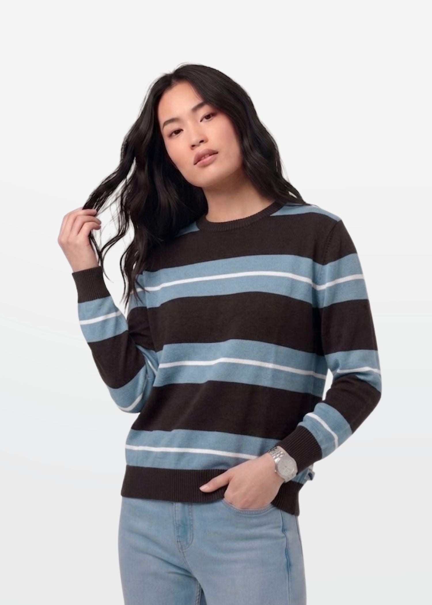 Brown Blue Stripe Full Sleeve Knit T-Shirt