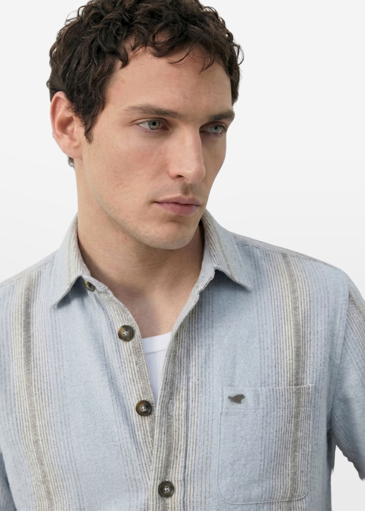 Blue Striped Shirt