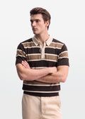 Earthy Multi Stripe Knit Polo Shirt
