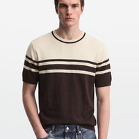 Brown Ivory Stripe Crew Neck Knit T-Shirt