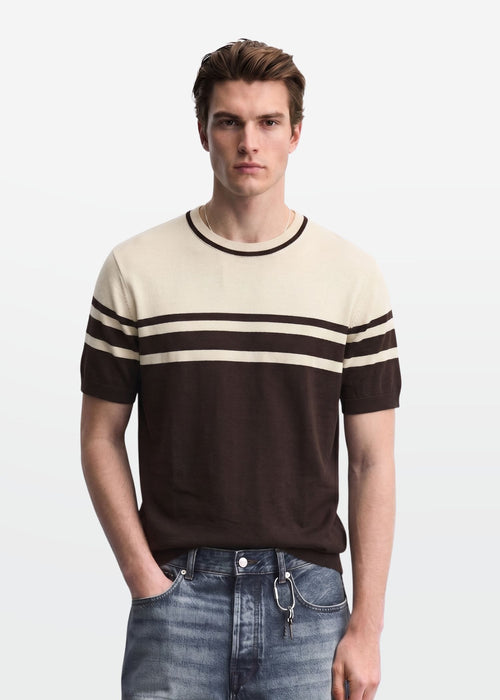 Brown Ivory Stripe Crew Neck Knit T-Shirt — Men's Knitwear India | Eagle Ray