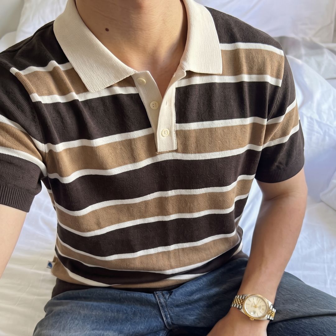 Earthy Multi Stripe Knit Polo Shirt