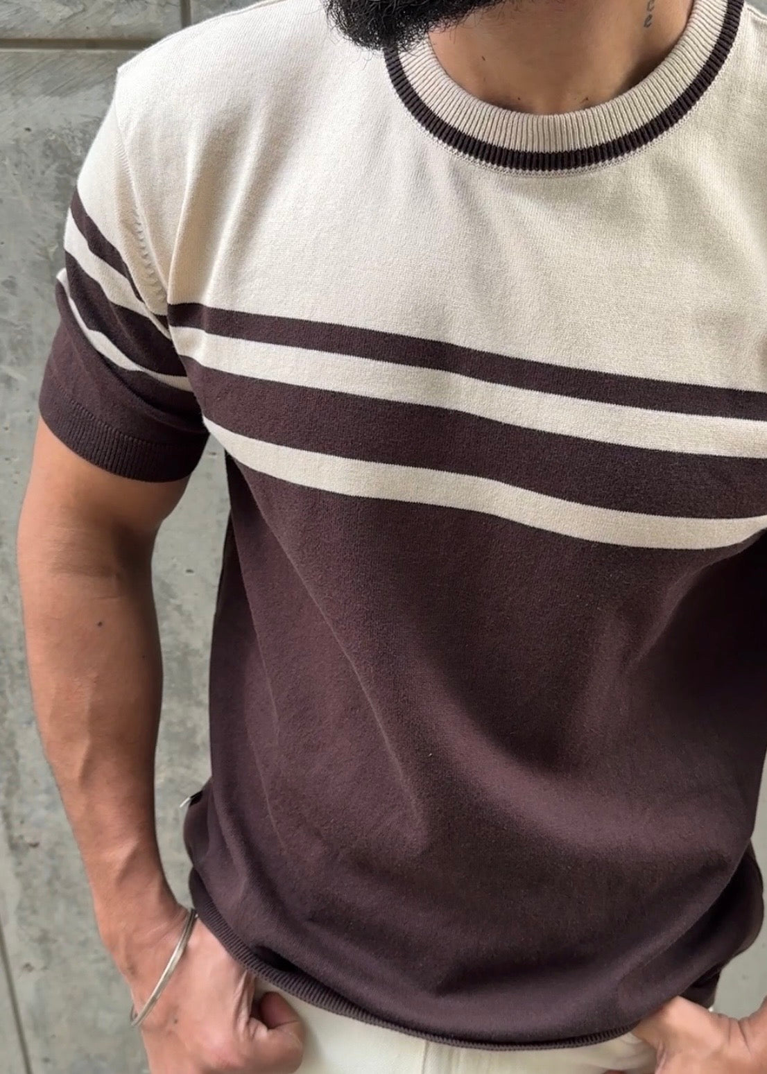 Brown Ivory Stripe Crew Neck Knit T-Shirt