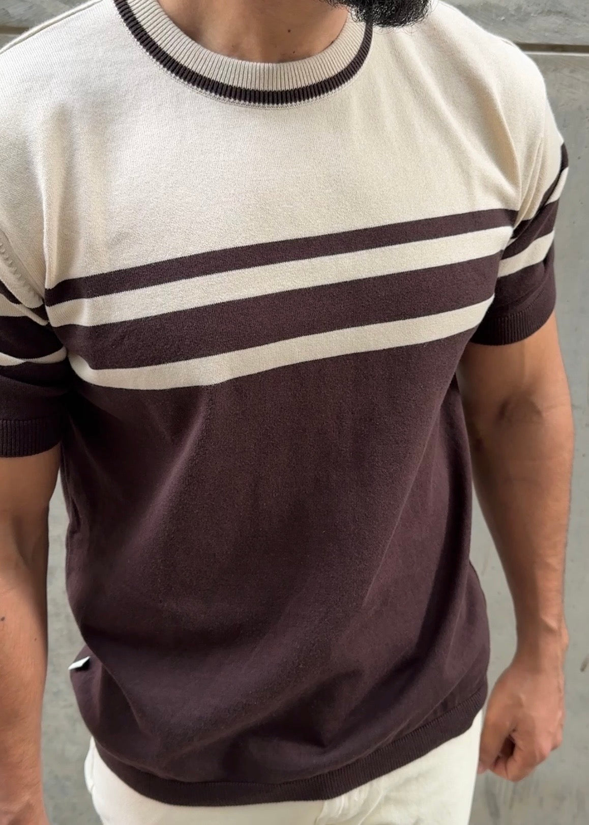 Brown Ivory Stripe Crew Neck Knit T-Shirt